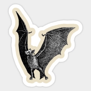 Bat Vintage Illustration Sticker